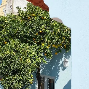 Proa D'alfama Lisbona